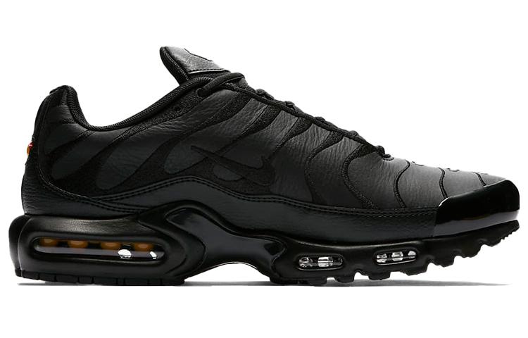 Nike Air Max Plus Тройной черный кожа AJ2029-001