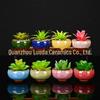 Mini Ice Crack Ceramic Succulent Pot