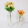Nordic Creative Vase Home Decor Golden Glass Hydroponic Plant Holder Iron Line Flowers Ornament Garden Decoration Hot