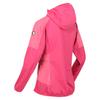 Regatta Womens/Ladies Tarvos IV Softshell Jacket