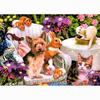 Full Round Diamond Painting Cat Garden Diamond Embroidery 5D DIY Picture of Rhinestones