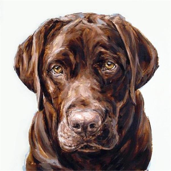 50X50CM 5D алмазная живопись полная квадратная собака Алмазная вышивка животные вышивка крестиком ремесленная художественная распродажа украшение дома