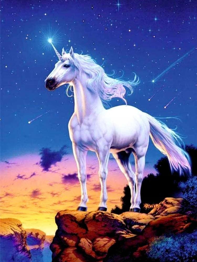PAINTING BY NUMBERS UNICORN comet FRAME PICTURE