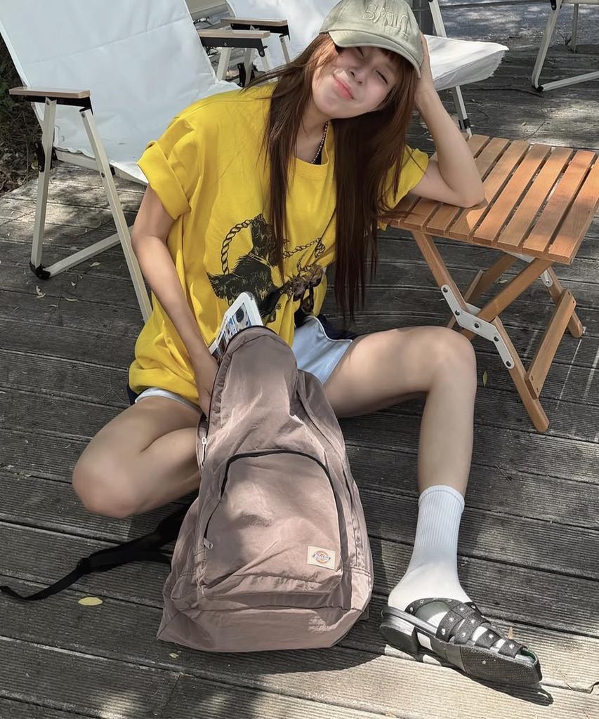 Dickies Nylon Pocket Packable Backpack Pink