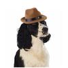 Creative New Pet Hat Dog Cowboy Hat Triangle- Scarf Set Headgear Cat Funny Headwear