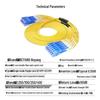 BoYang 12-Core SC-SC Single-Mode Fiber Optic Patch Cable
