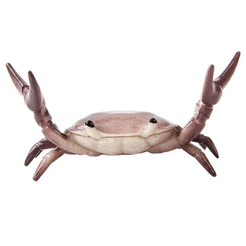 Легко держать, полезный держатель для крабовой ручки для тяжелой атлетики, яркий цветной держатель для крабовой ручки, имитация для студентов