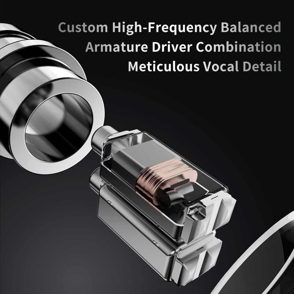 TRN V10 Pro Wired Earphones, 2BA+2DD, Beryllium-Coated Diaphragm, High Sound Isolation, In-Ear Monitor, 3.5mm Plug, QDC Detachable Cable (Black)