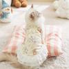 Double-layer Belly Protection Homewear Vest Skirt Cat Clothes Winter Anti-hair Loss Muppet British Short Cat Velvet Pet Clothing