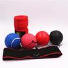 Reaction Ball Headband Boxing Set