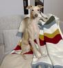 Yellow Dot Cotton Caregiver Blanket