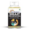 DR. MOREPEN Shilajit Capsules | Pure Himalayan Shila Jit Extract Vegan, Pure & Natural Consist of More Than 84 Minerals 60 Capsule Pack of 1