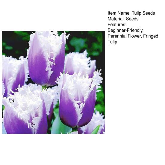 Men Boxer Underwear Mid-rise Elastic Waistband U-Convex Shorts Briefs Solid Color