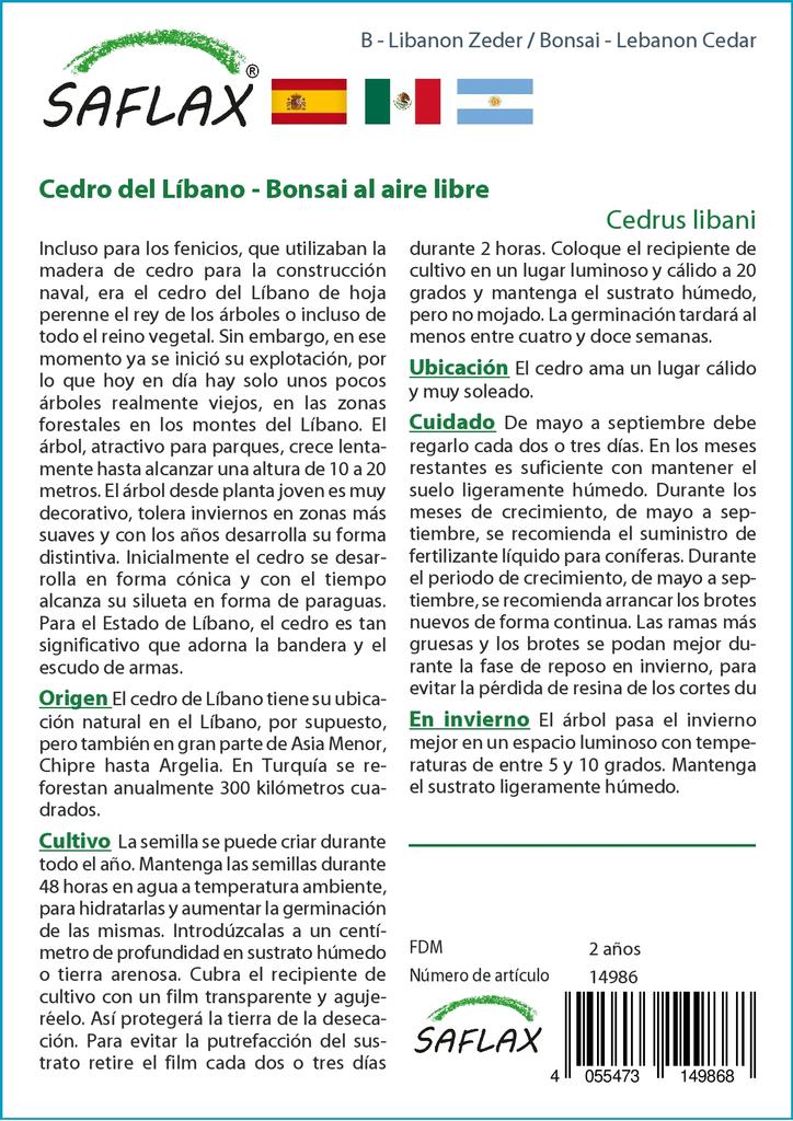 SAFLAX Garden in the Bag - Бонсай - Ливанский кедр - 20 семян - С субстратом в подходящем пакете - Cedrus libani