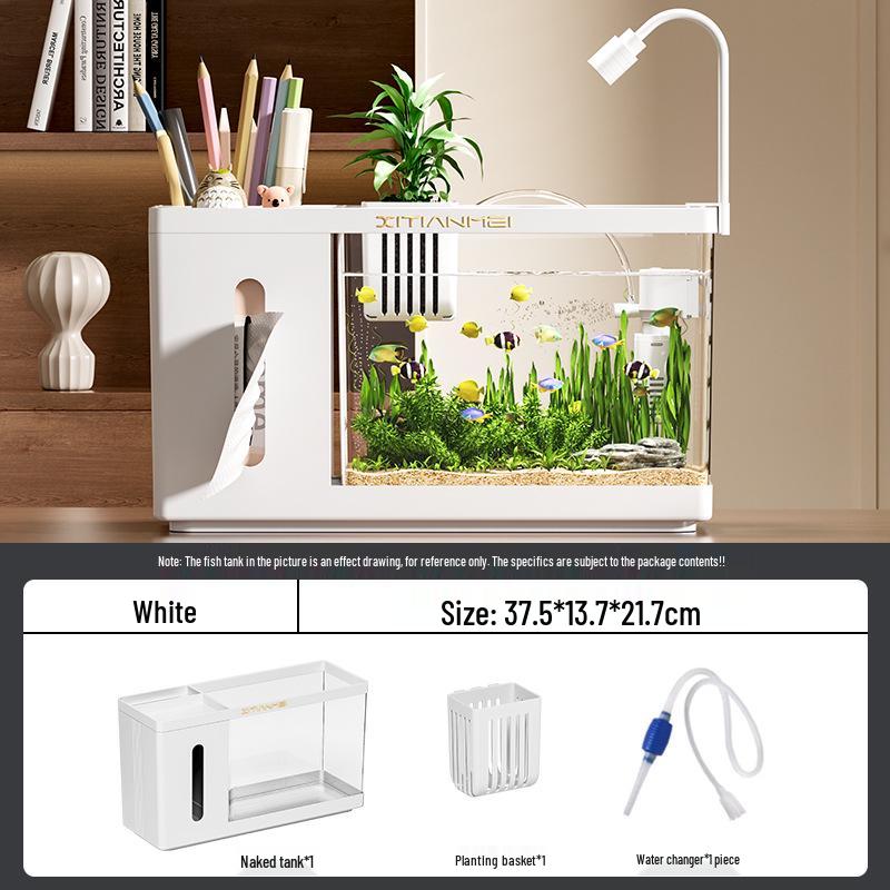 Многофункциональный Экологический Аквариум: Креативный настольный аквариум-салфетница для ландшафтного дизайна гостиной