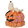 enesco Jim Shore Halloween Snoopy on Pumpkin Figure 6008966