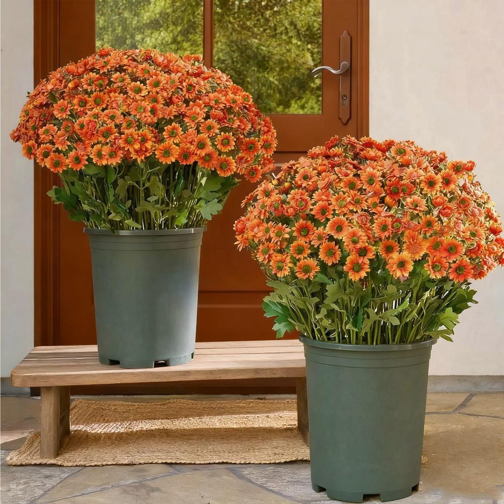 Realistic Appearance: Front Door, Porch, Courtyard, Balcony, Artificial Outdoor, Sunsetting Flowers