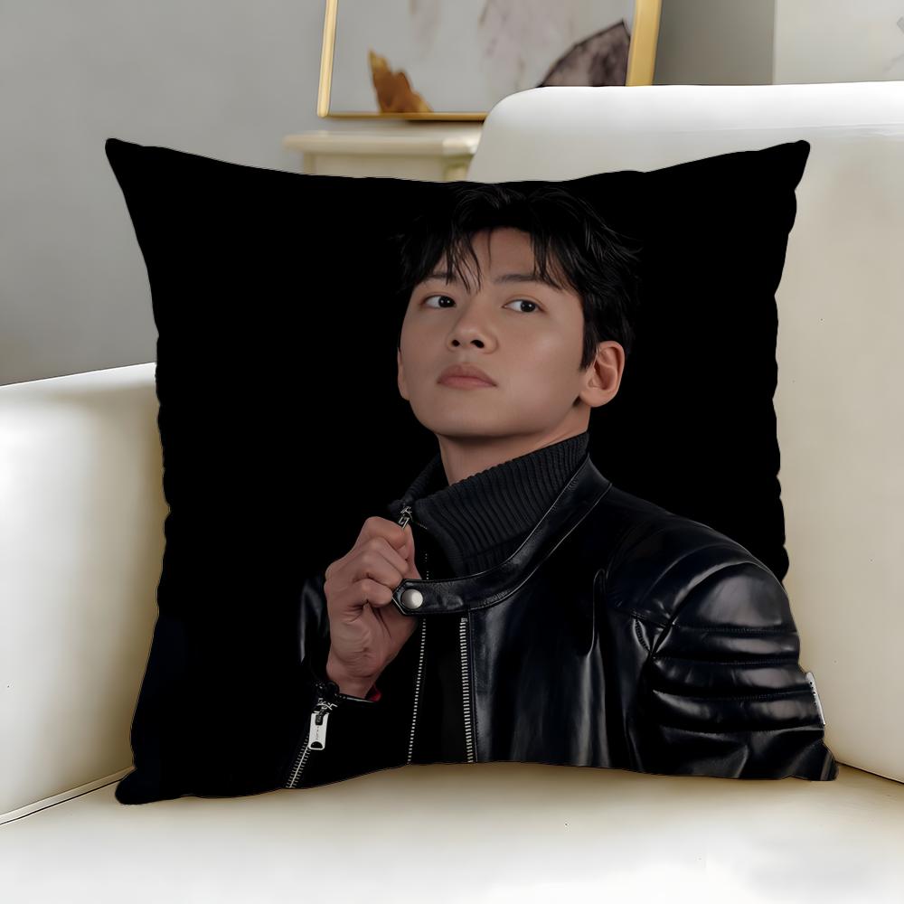 Популярная наволочка Jji Chang Wookable Cushion Cover Мягкая Легко стирающаяся Универсальная для дивана кровати путешествий и офиса