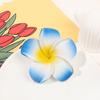 2 шт., заколка для волос с цветком плюмерии, Нескользящие красочные боковые зажимы, декоративные пластиковые аксессуары для волос для женщин и девочек