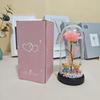 Eternal Flower Glass Lamp Plastic Cover Night Light Rose Simulation Flower With Bear Valentine Day Gift For Girlfriend
