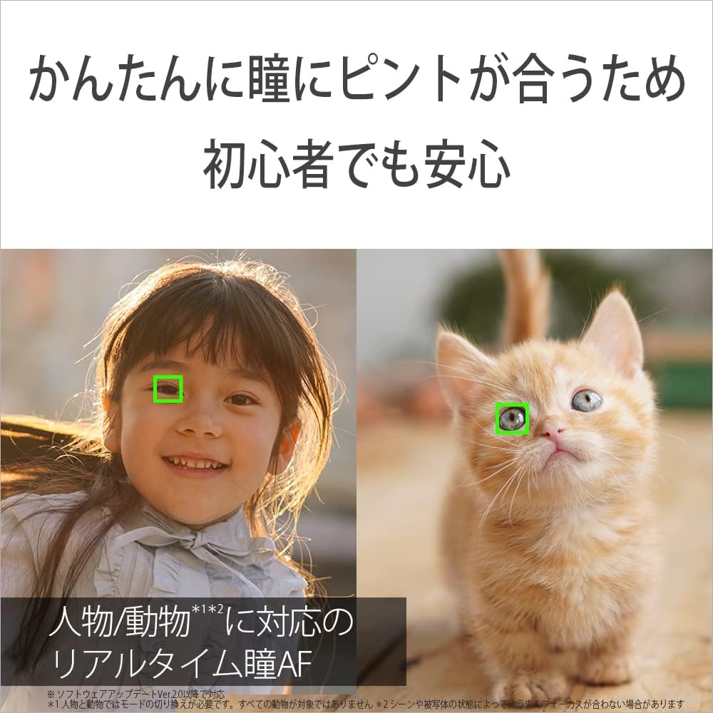 Sony Корпус беззеркальной камеры черный B APS-C однообъективный 6400 (нет линзы) ИЛСЕ-6400