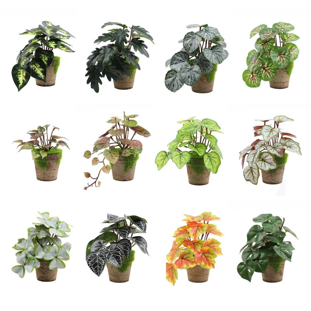 Искусственные зеленые растения для настольного украшения в помещении Эвкалипт Лист банана Спина черепахи Маргаритка Гибискус