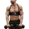 Biceps & Triceps Muscle Builder Bicep Isolator Arm Strength Training Machines Muscle Gains for