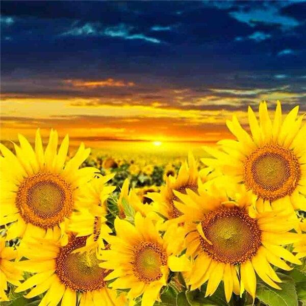 DIY Алмазная картина Цветок 5D Алмазная вышивка Крестом Лавандовая мозаика Фотографии Стена Art Craft Kit