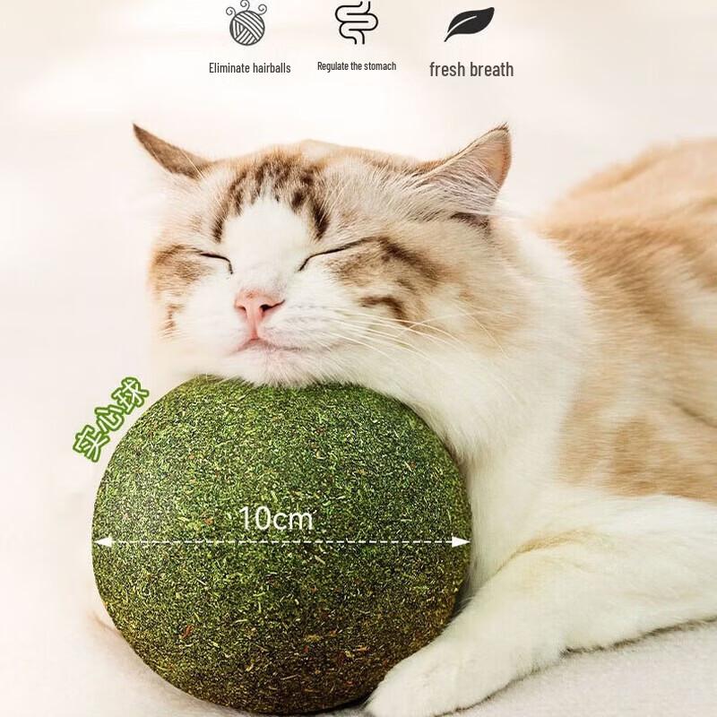 Yun Xiaoshi Catnip Solid Ball Toy (2-Pack)