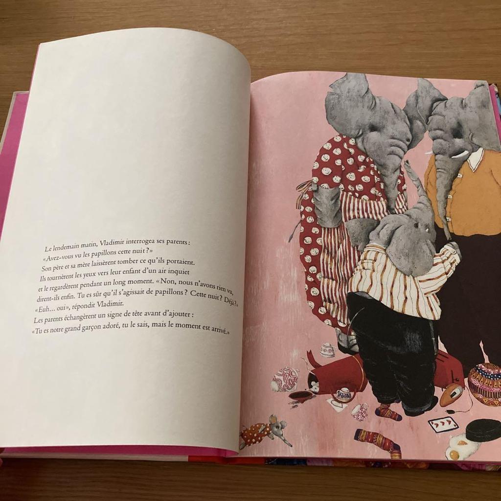 [Б/У] Французская иллюстрированная книга «Миллион бабочек»