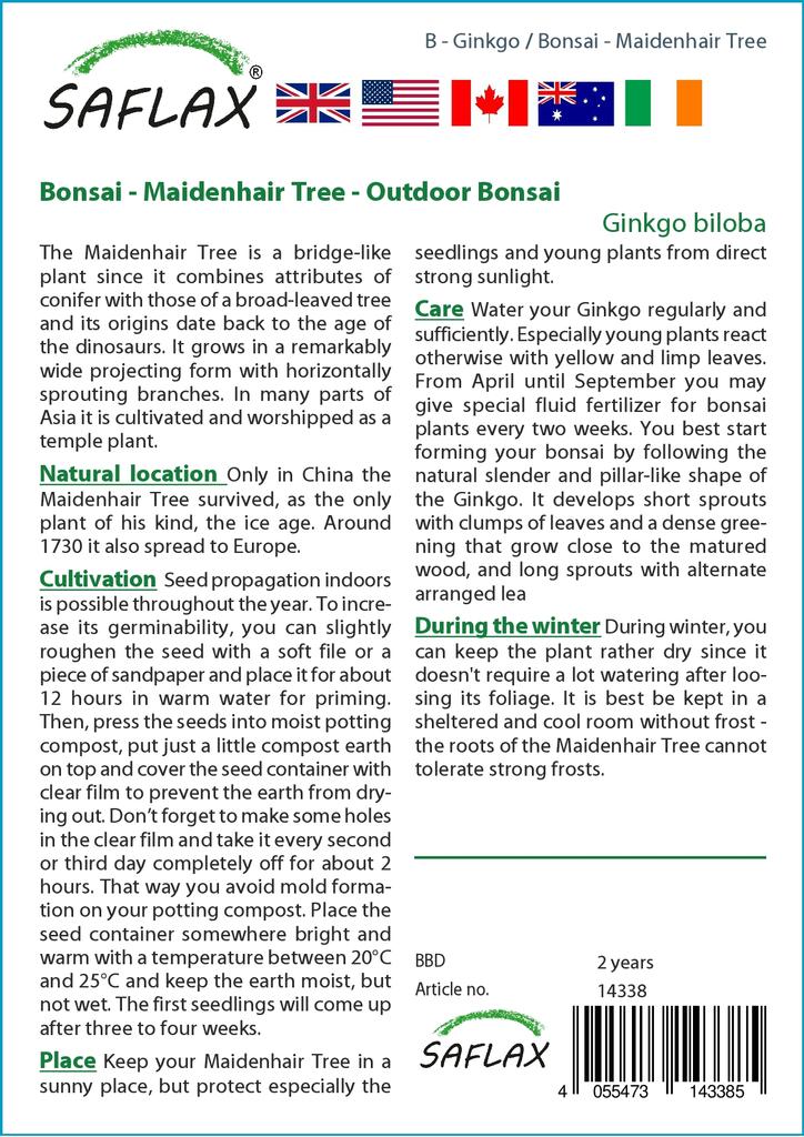 SAFLAX Garden in the Bag - Бонсай - Дерево девичьего волоса - 4 семени - С субстратом в подходящем пакете - Гинкго двулопастный