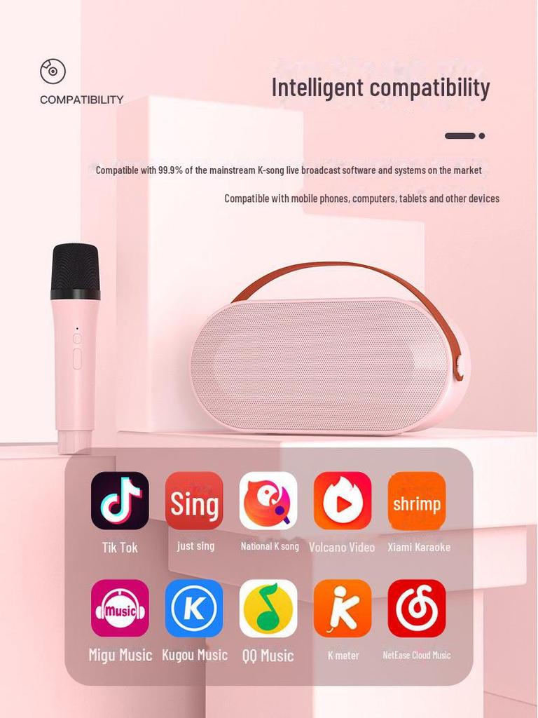 P6 Караоке Bluetooth-динамик с беспроводным микрофоном