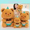Adorable Birthday Bear Plush Doll With Voice Recording Perfect For Girls Gifts