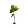 Floristry Kenzan Needle Spiky Art Fixed Tool Insert Base Pin Flower Frog Ikebana Holder