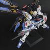 BANDAI SPIRITS PG Mobile Suit Gundam SEED DESTINY Strike Freedom Gundam Scale Plastic Model 1/60 Pre-Colored