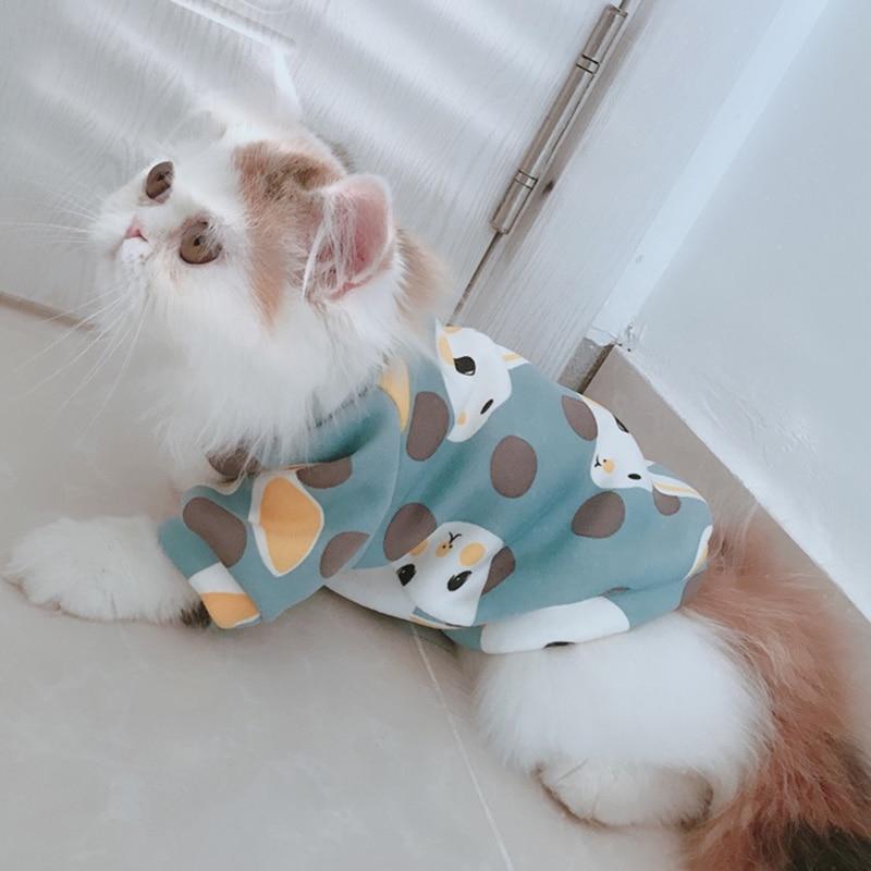 Толстовка для котика, с принтом кролик