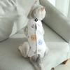Cartoon Cat After Surgery Bodysuit Kittens Post Surgical Wound Healing Castration Cat Suit Cat Surgery Recovery Clothing