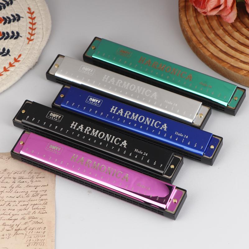 Harmonica Key Of C 24 Hole Diatonic Harmonica C With Case For Beginner Students Kids Gift Blues With Case