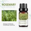 10 мл эфирного масла розмарина увлажняющее розмариновое одинарное массажное масло для красоты