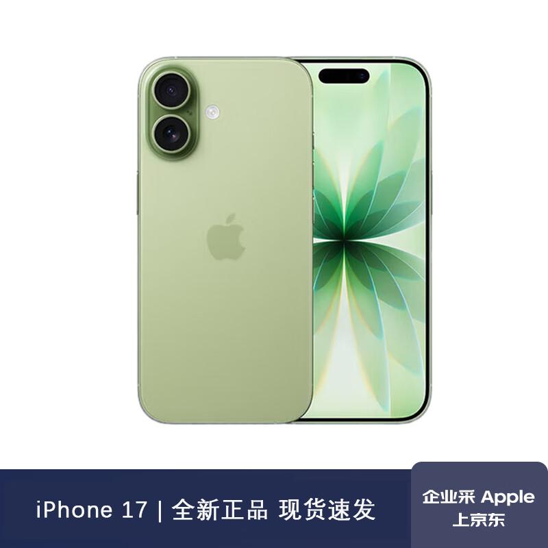 Apple iPhone 17 Стандартная версия (Китайская версия)