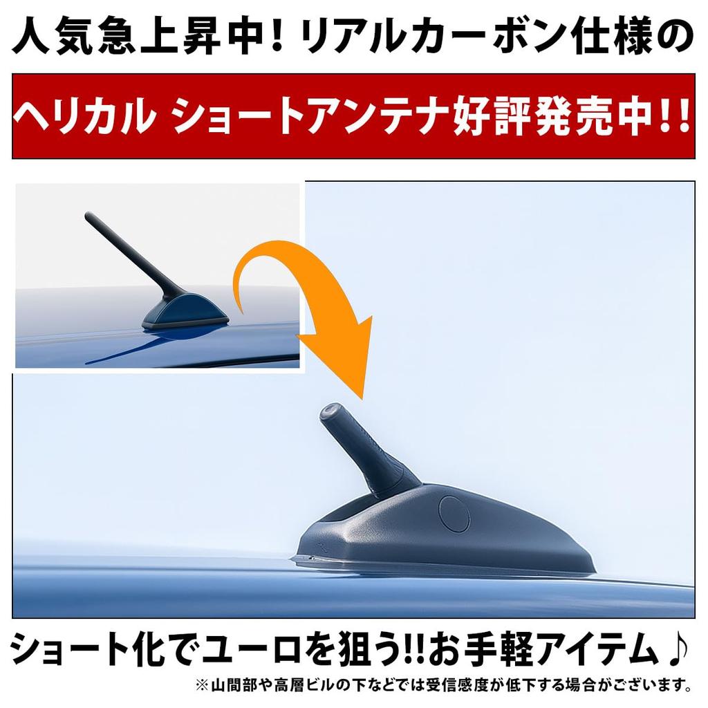 Короткая радиоантенна, Автомобильная, Карбоновая, 4,7 дюйма (12 см), Серебристый, С проставкой