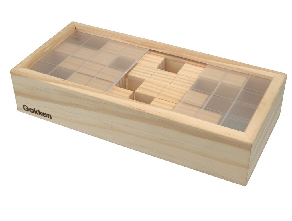 Gakken Pentacube 83409 Развивающий мозг