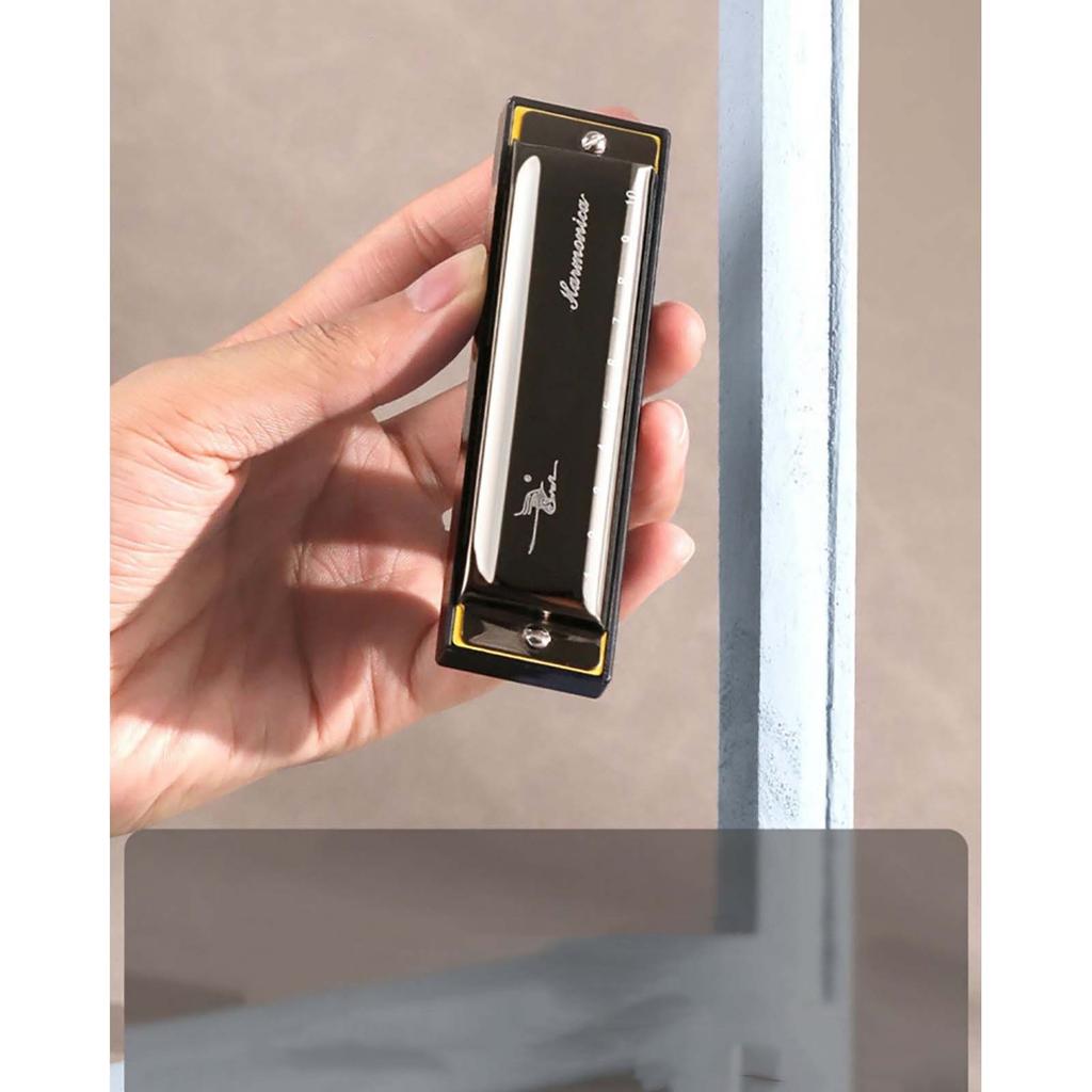 10-отверстий C Key Blues Harmonica Begin To Play 10-отверстий Harmonica