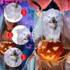 Латексная голова волка Свирепый Смешной Аксессуар для костюма для ролевой игры Вечеринка Фестиваль