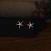 Starfish Stud Earrings, Femininity, Small and Shiny Zircon Earrings, Sweet and Simple, Suitable for Summer Jewelry.