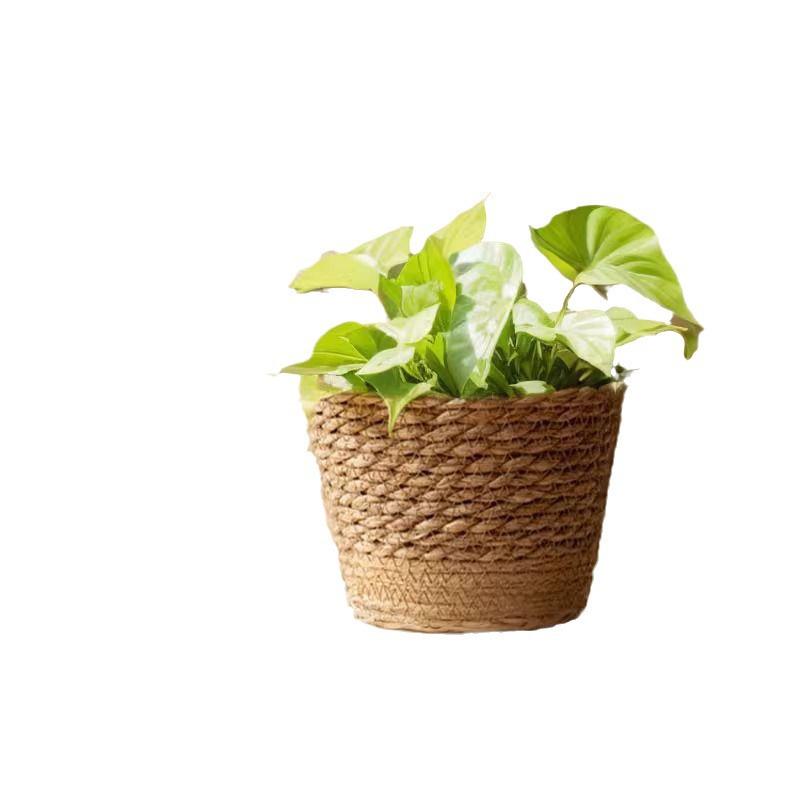 Цветочный горшок из ротанга с плетением из скандинавских водорослей: Натуральный декор для дома и корзина для растений