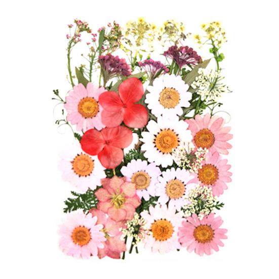 1 Set Dried Pressed Flowers Kit Colorful Natural Flowers DIY Art Crafts Supplies Resin Jewelry Epoxy Mold Candle Soap Vase Making Nail Card
