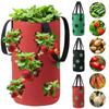 Quality Wall Hanging Strawberry Planting Bag 12 Holes Felt Plant Pot Garden Tools Hanging Strawberry Growing Bag Strawberries