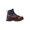 Трекинговые ботинки Elevation GTX