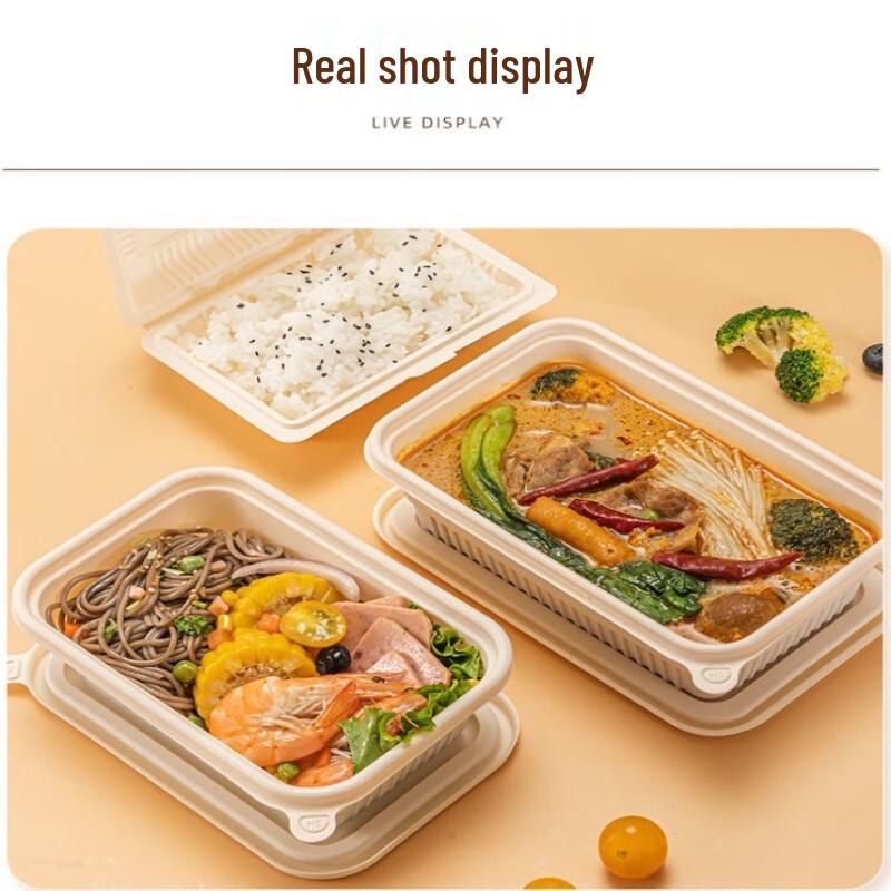 Disposable Rectangular Food Storage Containers